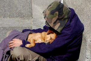 homeless-dog-12