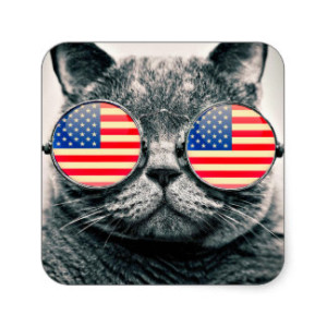 cat sunglass flag