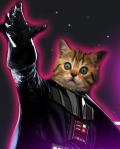 darth cat