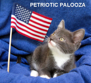 petriotic palooza